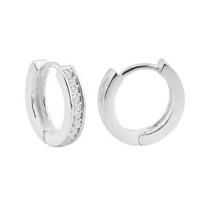 Argola Filete Cravejado