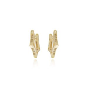 Brinco Argola Orgânica